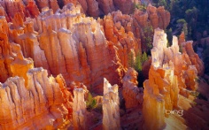 BryceCanyonAmphitheater1920x12005-31-2011 12_36_02 PM Bing Desktop